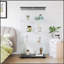Vitrine à deux portes avec 4 tablettes en verre, durable et élégante pour la présentation et le rangement-595029788