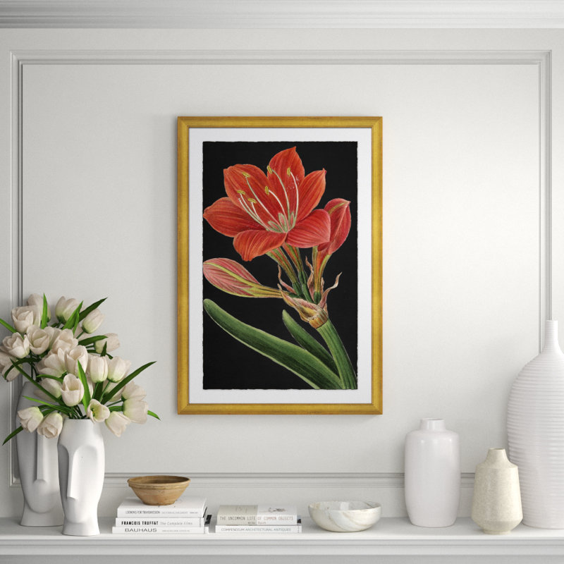 Red Flower Large Giclee Print by Soicher Marin Archives