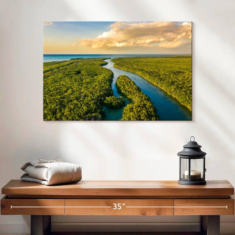 Parc national des Everglades d'Alvord, H 16 po x l 24 po