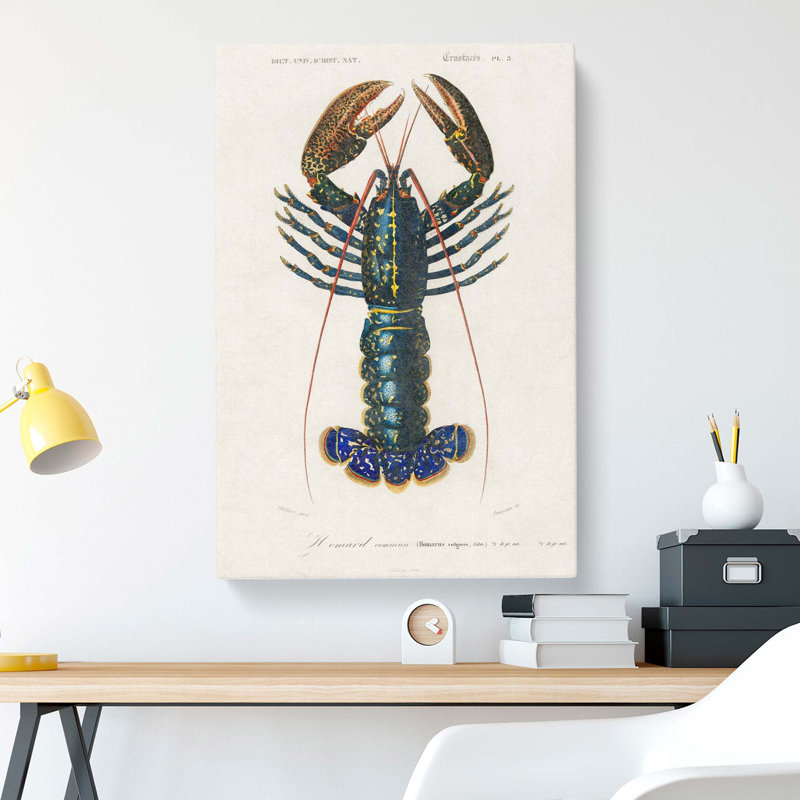 Crimson Crawfish by Charles D Orbigny - Wrapped Canvas, 60cm H x 40cm W x 3cm D