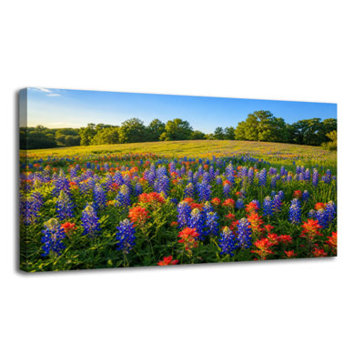Canvas Wall Art Texas wildflower bluebonnet Wall Decor for Living Room Bathroom Bedroom Office 20"H x 40"W Art Paintings, Ready to Hang