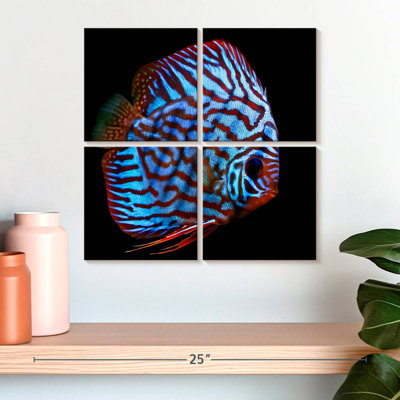 Poisson aquatique Brampt