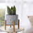 Elayna Ceramic Planter with Wood Stand-345935327-345133210