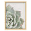 "Vert succulent, gros plan, rafraîchissant, nature, illustration, petit décor, œuvre d'art"-101376829-101376827