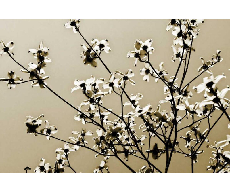 «Red Barrel Studio®» par Haus, H 33 po x l 48 po