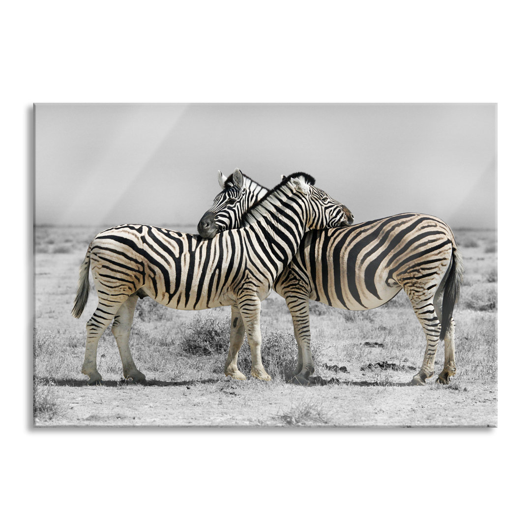 Fotodruck Zebras in der Savanne