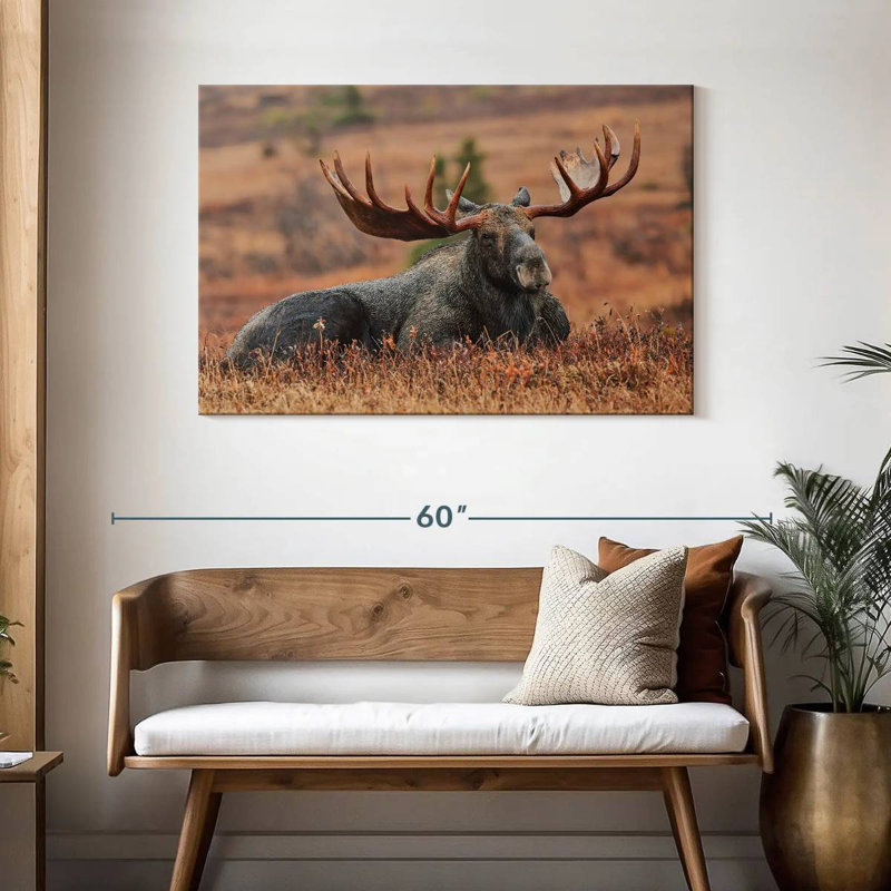 Brampt Summer Moose