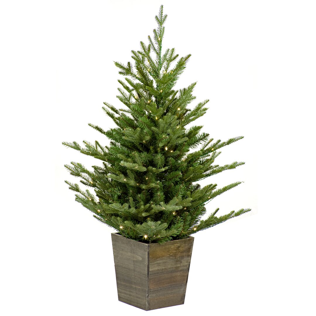 KÃ¼nstlicher Weihnachtsbaum 91 cm GrÃ¼n mit 100 LED-Leuchten in Bunt/WeiÃŸ Nordmann