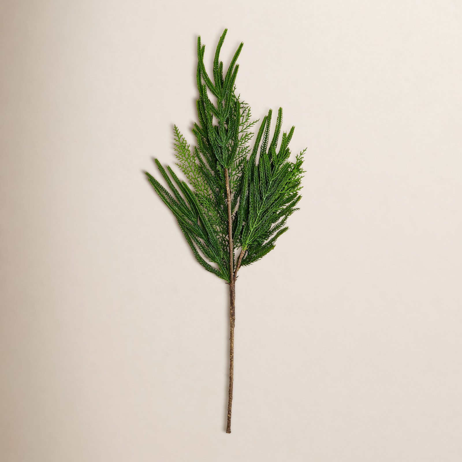 Pine Cedar Floral Stems
