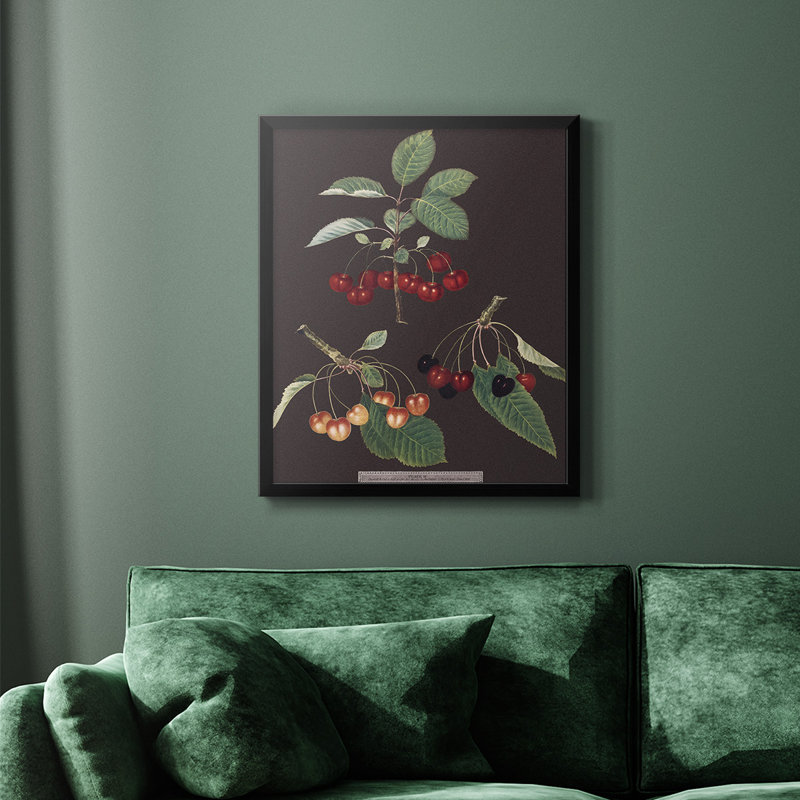 Toile encadrée de qualité supérieure Brookshaw Cherries, Noir, H 24 po x l 20 po