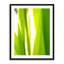 Sunkissed _ 3595 Print by Petra Trimmel-65799498-65799497