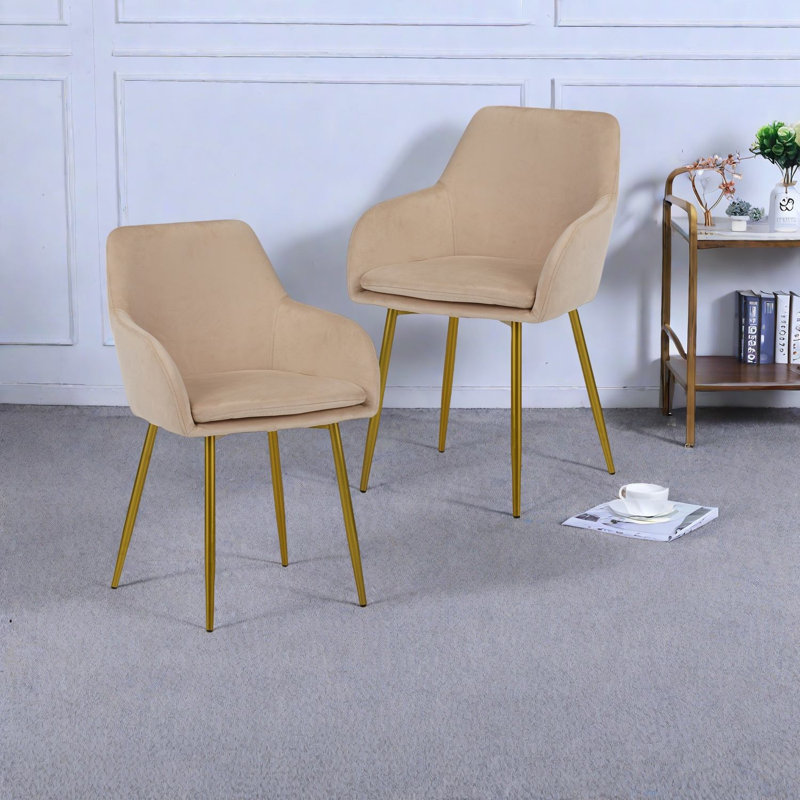 Chaises de salle à manger modernes en velours, métal et bois, conception confortable, pour la cuisine et la salle à manger