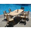 Marissa Outdoor 11 - Piece Teak Dining Set-1687687937-1687687936