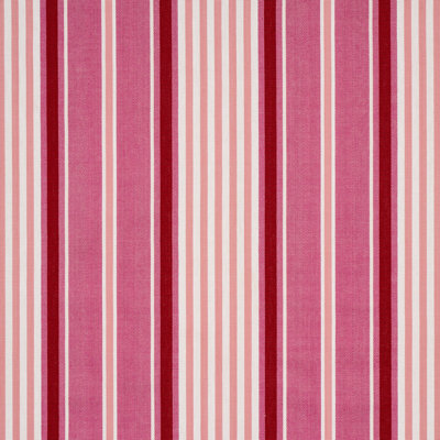 Minzer Cotton Stripe Fabric