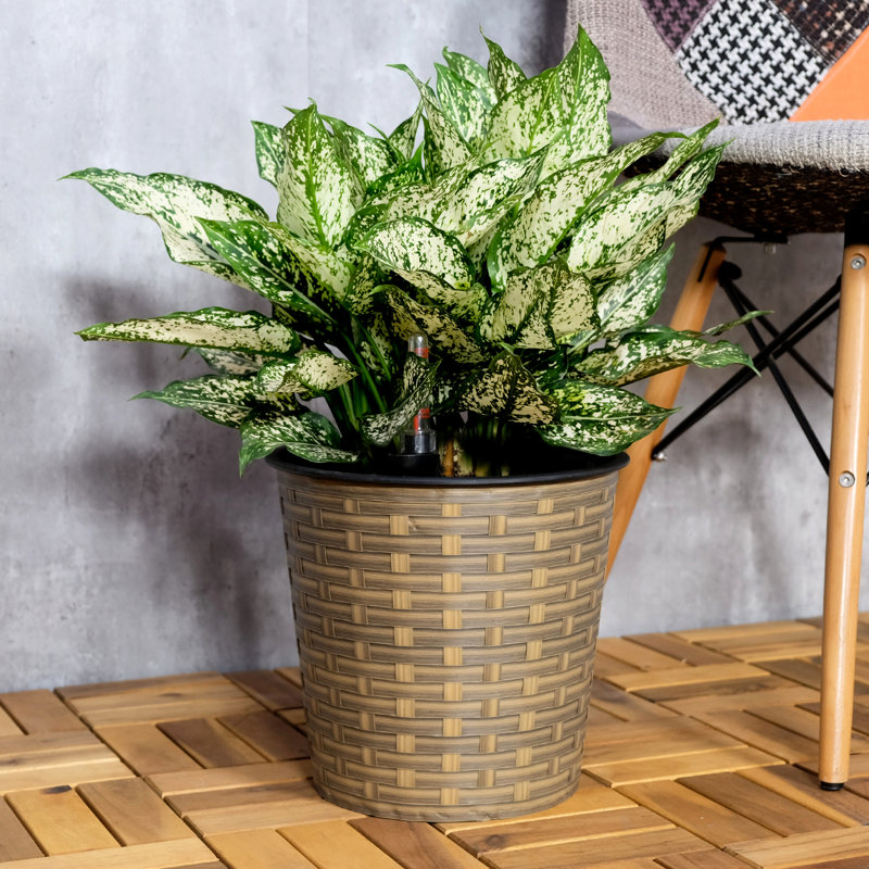 13.4" Natural Self-Watering Planter - Indoor & Outdoor Decor Easy To Assemble Move With System Stable Simple Assembly Steps