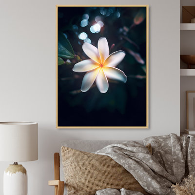 «White Yellow Exotic Plumeria Bloom», reproduction sur toile