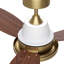 Ceiling Fan-556260656-556260660