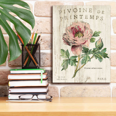 Ophelia & Co. 'Pivoine De Printemps' By Sue Schlabach, Giclee Canvas Wall Art, 18"X26"