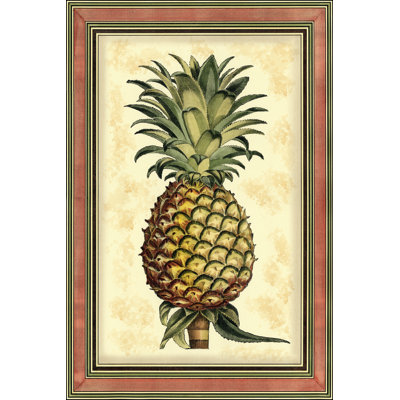 Printed Pineapple Splendor II by Vision Studio - Wrapped Canvas Painting
