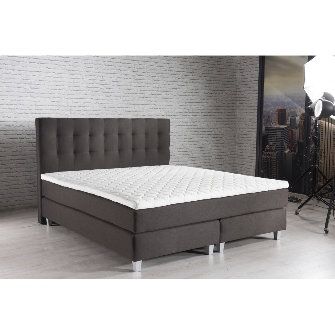 Echtes Boxspringbett Horwitz mit Kaltschaum Topper, mit Samtstoff bezogen