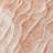 Machine Washable Indoor/Outdoor Claudian ACN1615 Coral Rug-103721940