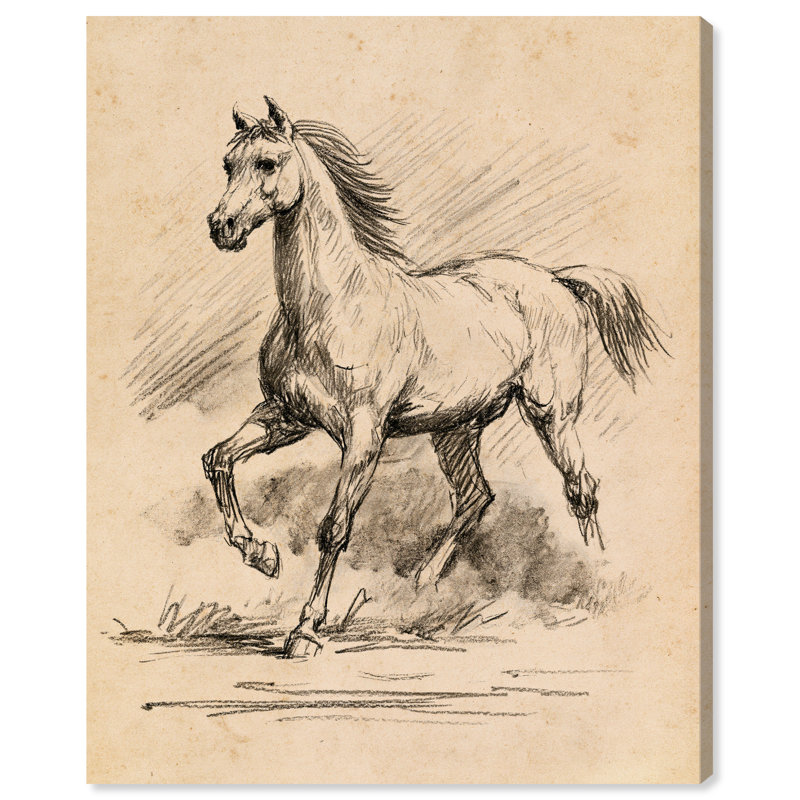 Impression sur toile Dynamic Trot I, art mural de ferme par, H 45 po x l 36 po, Toile tendue avec châssis