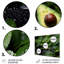 Modern Food & Beverage Wall Decor on Metal