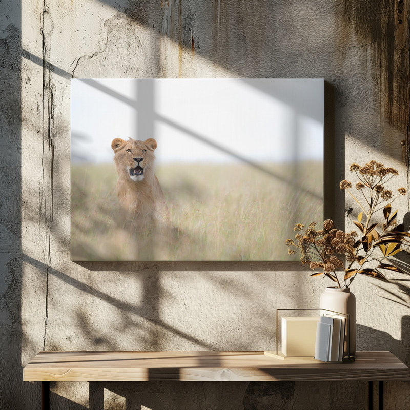 Wrapped Canvas Print, 81.28 cm H x 121.92 cm W