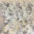 Ivory/Grey