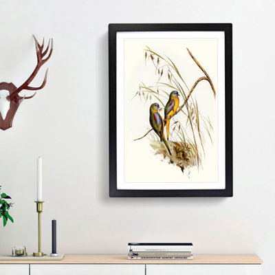 Grass-Parakeets by Elizabeth Gould - Picture Frame Art Print