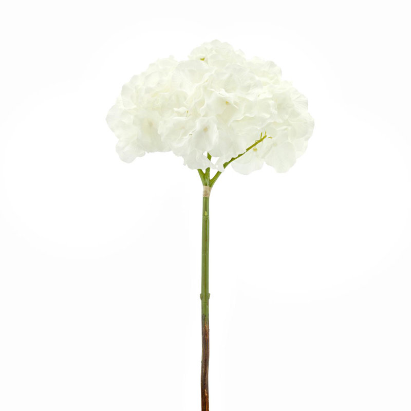 Hortensia Hortensia Sprays, Blanc pur