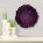Purple n'est pas disponible