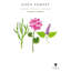 Eden Forest-433718515