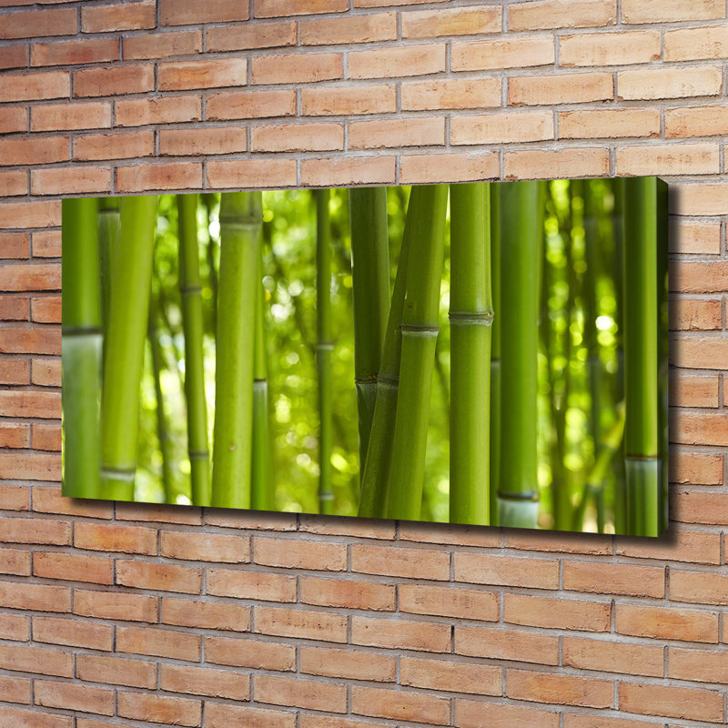 Bamboo - No Frame Print on Canvas