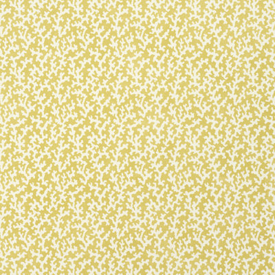 Papier peint Schumacher X Veere Grenney Folly