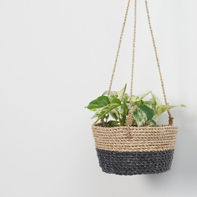 Panier en ruppie maritime, Noir / brun