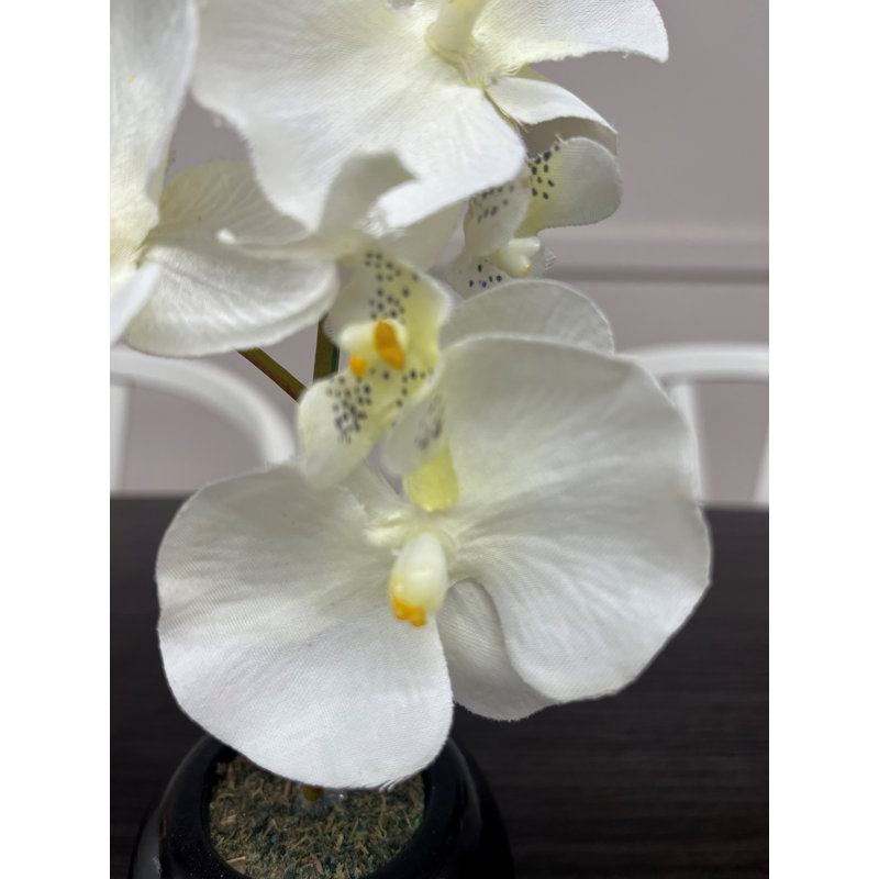 Fabric Orchid Arrangement in Pot, 0.28cm H x 0.13cm W x 0.08cm D, Purple/White