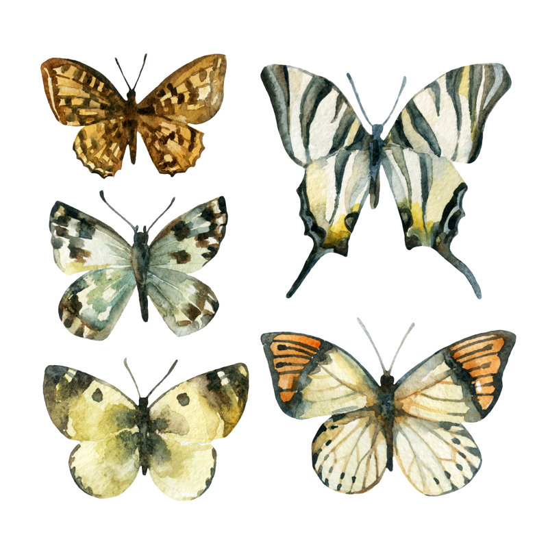 «Watercolor Butterfly Set», impression sur toile tendue, H 12 po x l 12 po