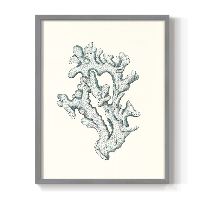 Antique Antique Coastal Coral IV, reproduction encadrée - bois massif, Gris, H 10 po x l 8 po