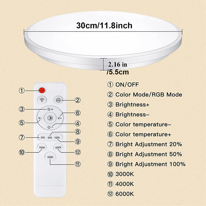 Disheka LED Flush Mount