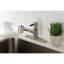 Robinet de cuisine à poignée simple kaiser pull out Gourmetier-54357472