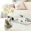 Orchid Arrangement in Vase