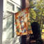 Chat en feuilles d'automne-112700513