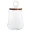 Glass Storage Jar-1389538775