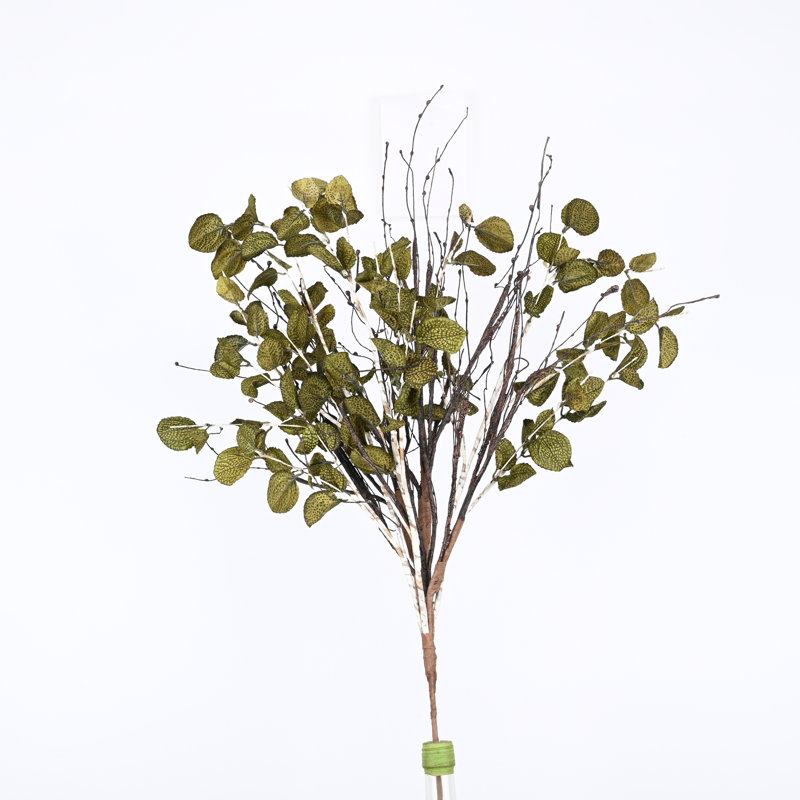 Arrangement de feuilles de brindilles, de brindilles avec des feuilles d'eucalyptus pour la décoration de bureau personnel Johns