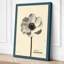 Anemone Study Botanical - Wrapped Canvas-528046628-528046643