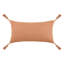Coussin Cherry-98591476-98593378