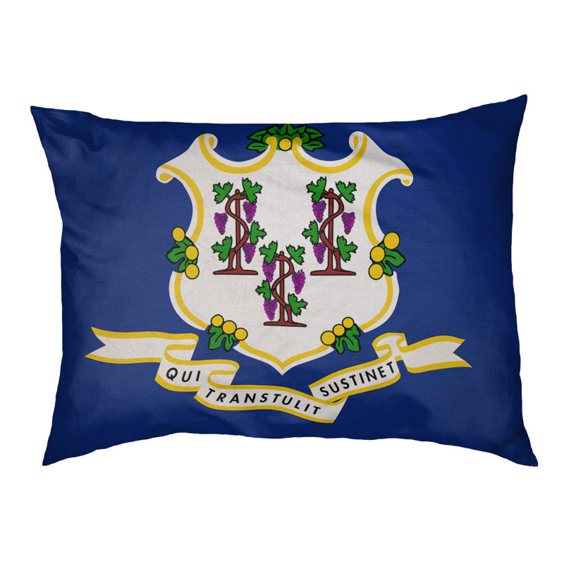 Coussin stylisé connecticut flag Burien, L 19,5 po x l 29,5 po, Marron foncé