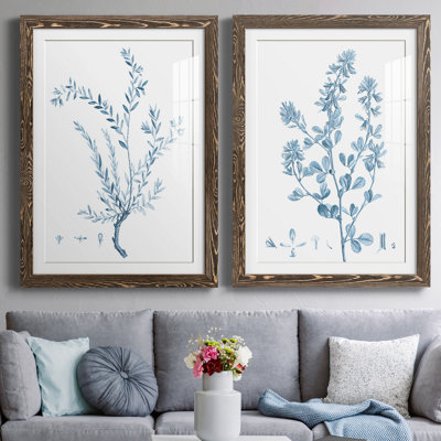 «Antique Botanical in Blue VII», ensemble de 2 reproductions d'art sur papier encadrées