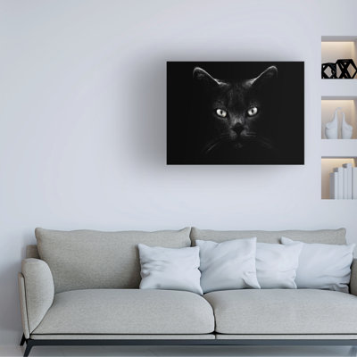 Antonio Grambone  Black Cat Portrait Canvas Art